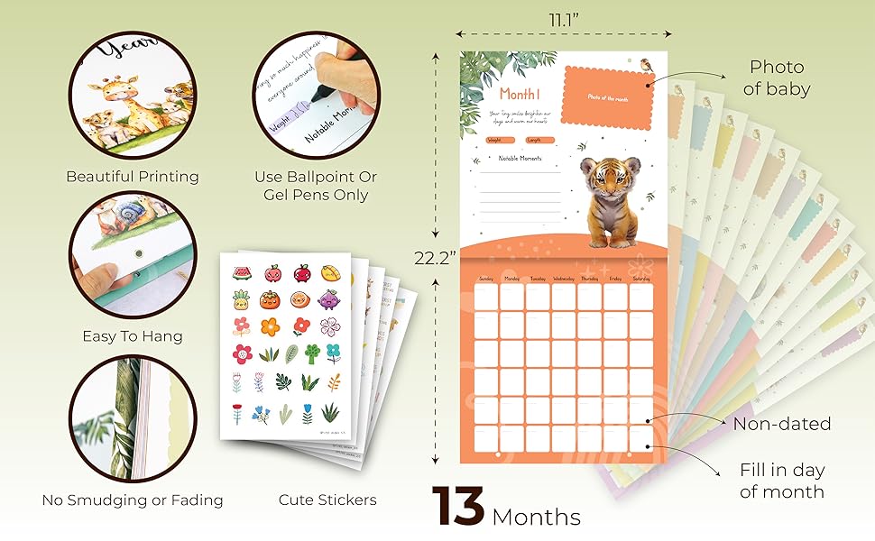 Baby First Year Calendar — photo 8